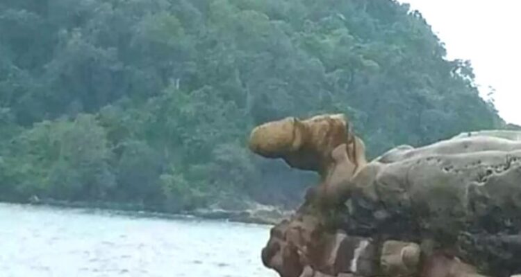 Apa itu Karang Kontol di Geopark Ciletuh Sukabumi? Simak penjelasan sejarah, asal-usul nama, dan nilai geologinya secara lengkap.