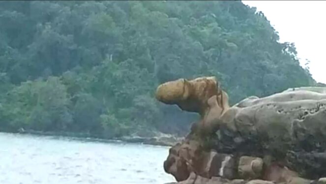 Apa itu Karang Kontol di Geopark Ciletuh Sukabumi? Simak penjelasan sejarah, asal-usul nama, dan nilai geologinya secara lengkap.